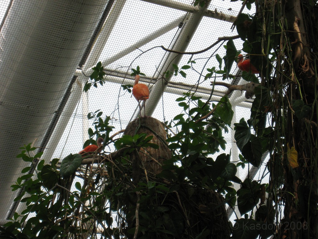 Baltimore MD 2009 1800.jpg - A 4th of July trip to Washington DC in 2009 included a stop in Baltimore MD to see the National Aquarium.